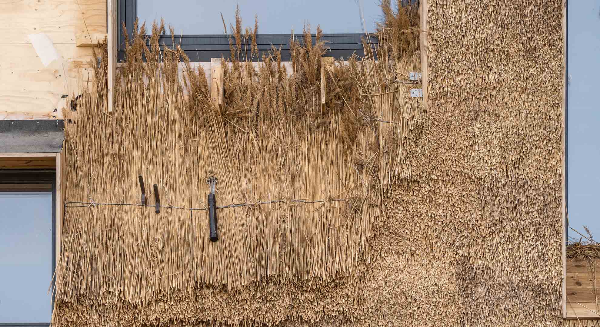 Use of vernacular materials and techniques in a Danish school.
