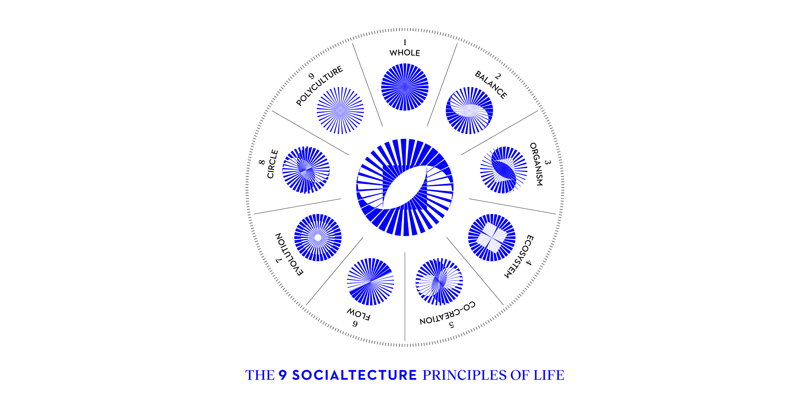 The nine Socialtecture Principles of Life for social architecture