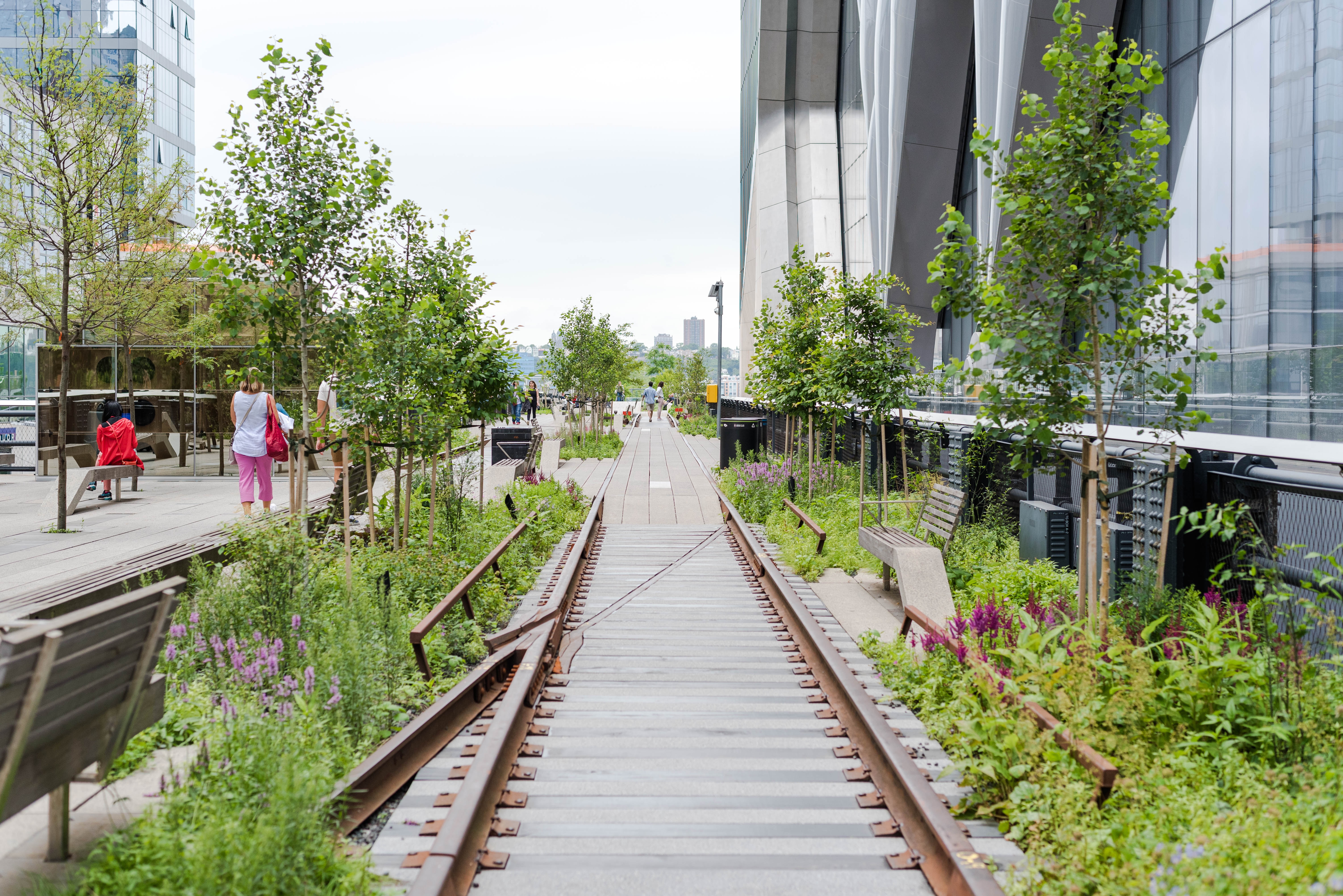 Urban greening adding green spaces. High Line in New York