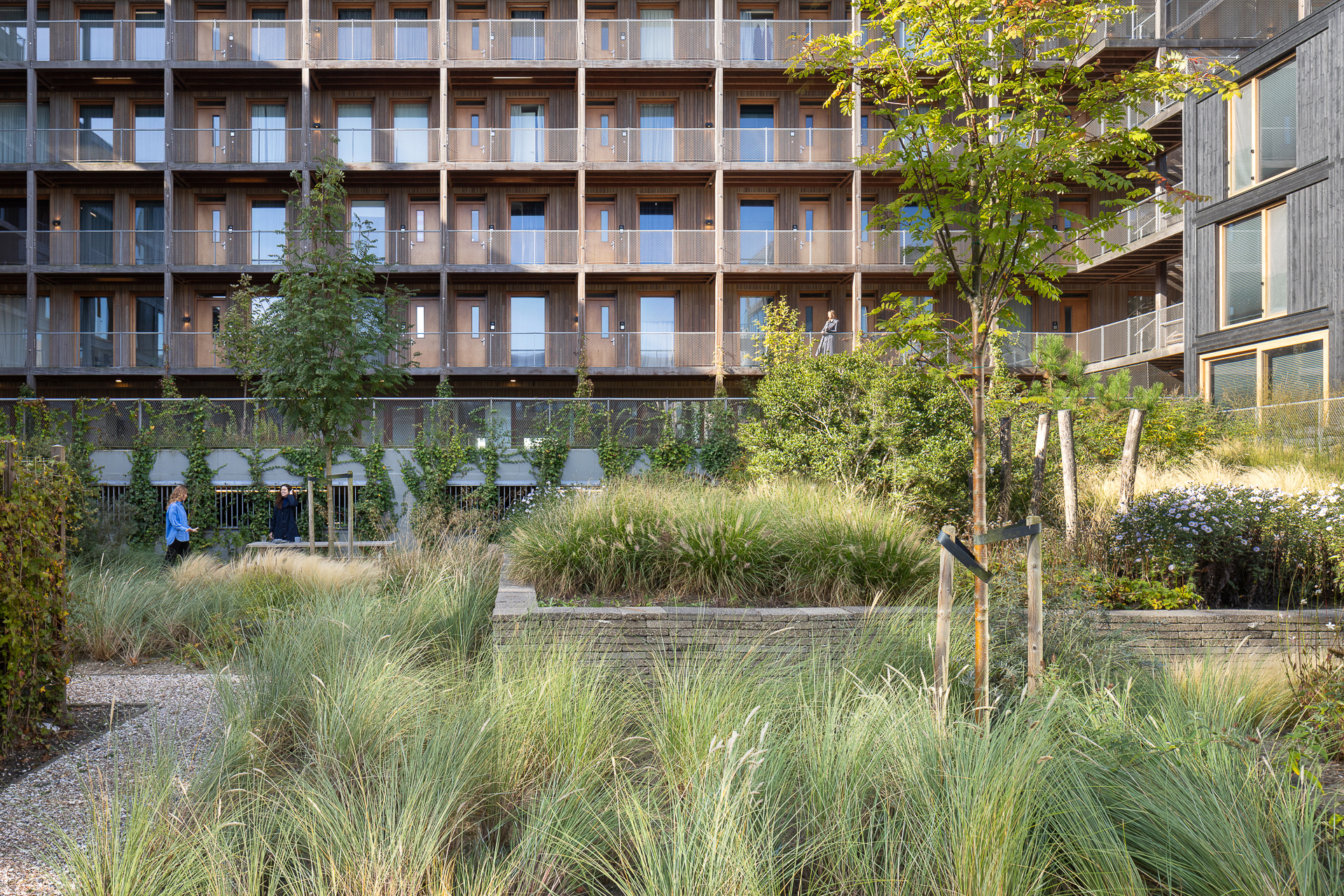 Green courtyard of Juf Nienke featuring native plants and outdoor spaces that enhance sustainable housing and community living.