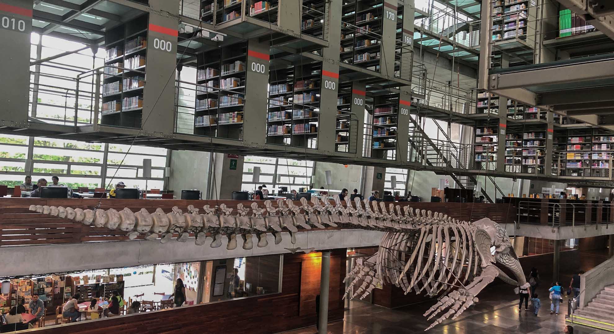 Vasconcelos Library, Mexico City, 2007, Alberto Kalach/TAX. Photo © Cida de Aragon