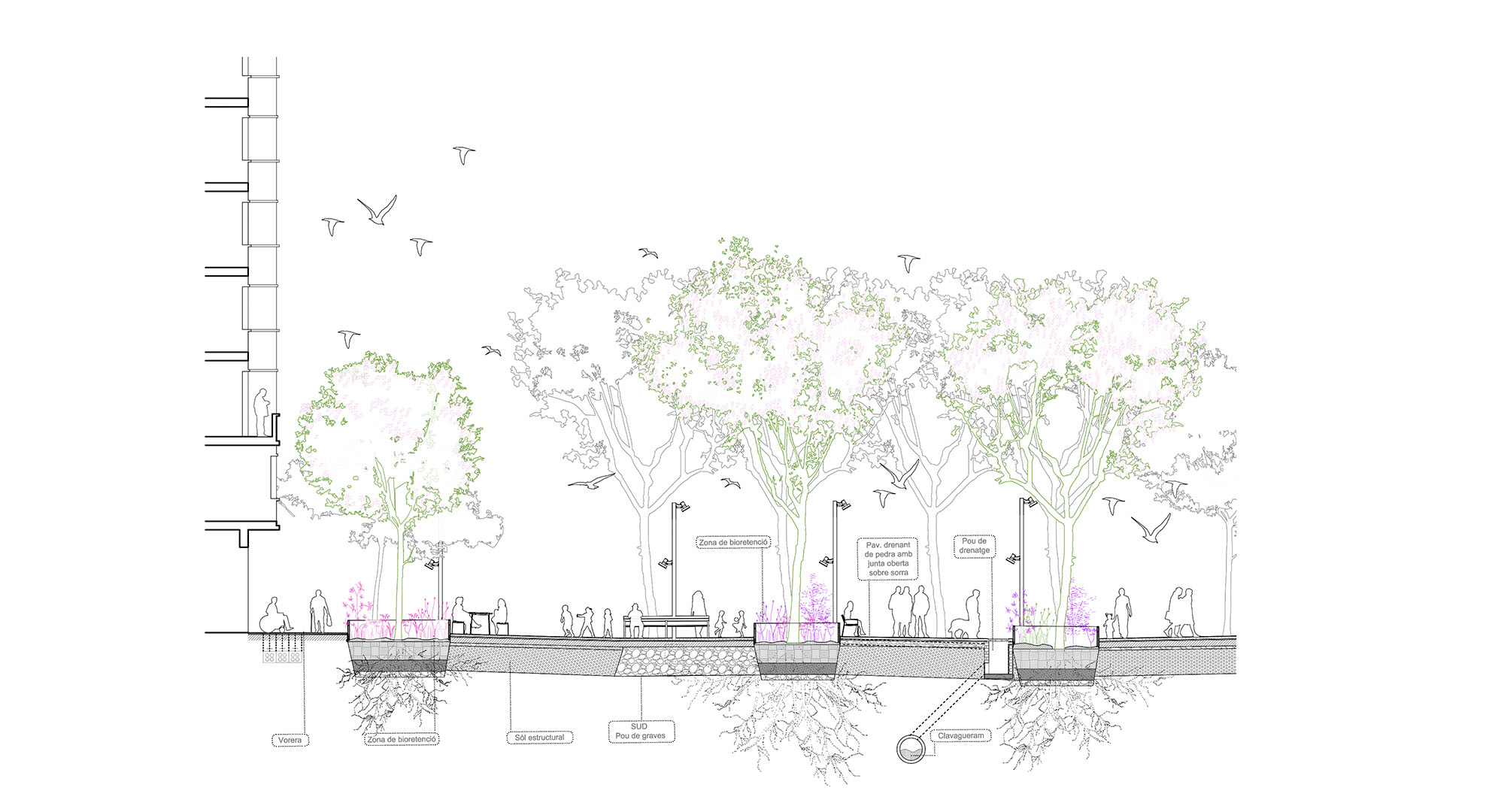 Architectural section showing trees, bioretention zones and pavements in urban design