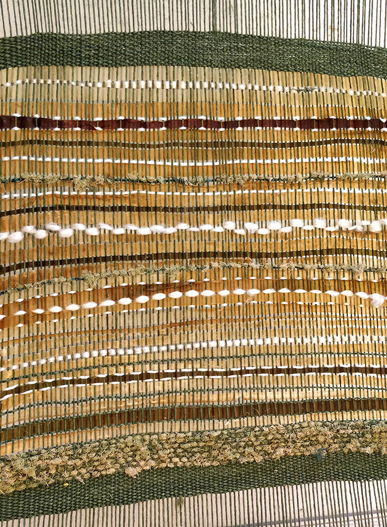 Woven fabric made from algae yarn